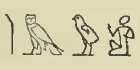Hieroglyph aamu (s) EgDict-111